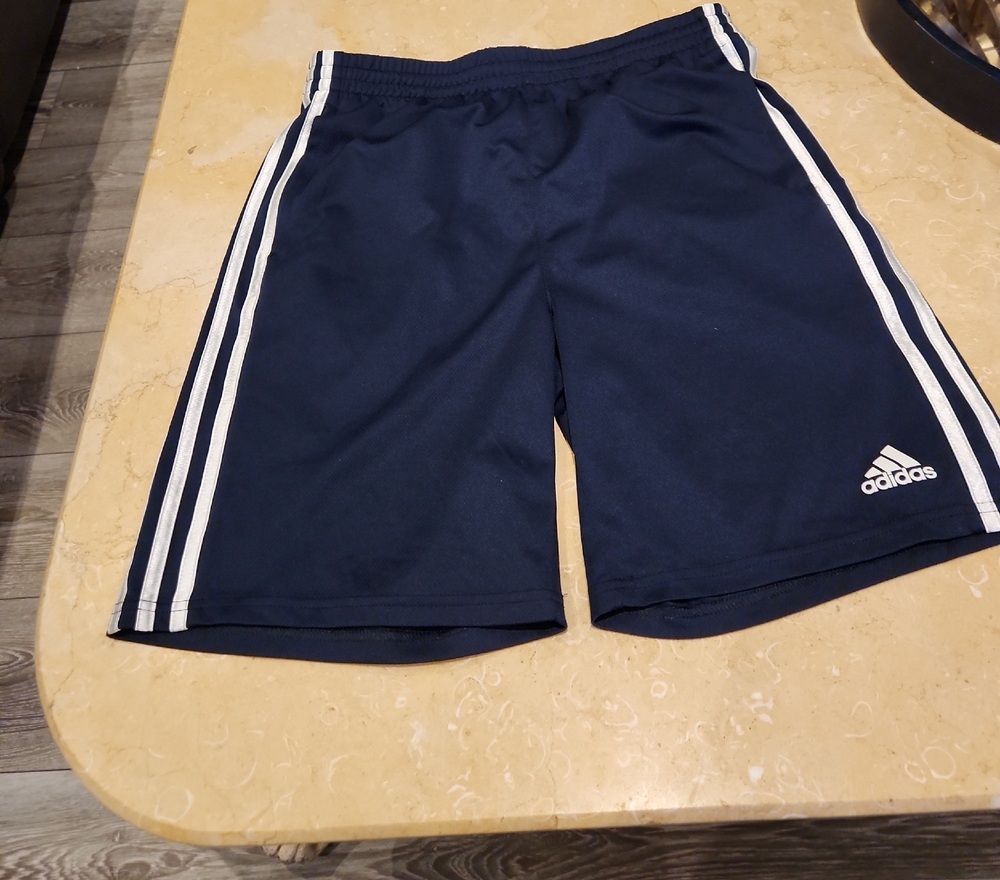 Adidas Navy Shorts with White Accents